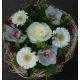 Bouquet cisal blanc