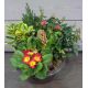 Coupe de plantes