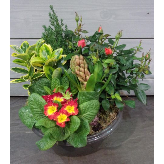 Coupe de plantes